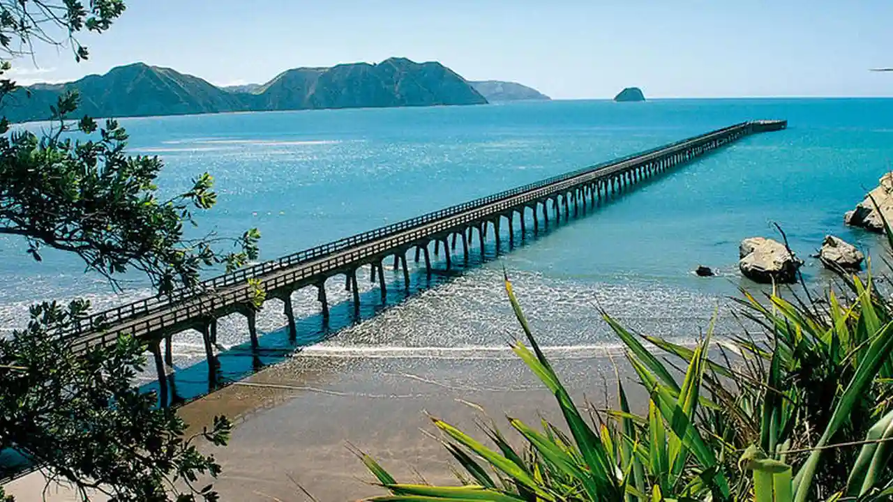 7 Must-See Stops on the Pacific Coast Highway New Zealand